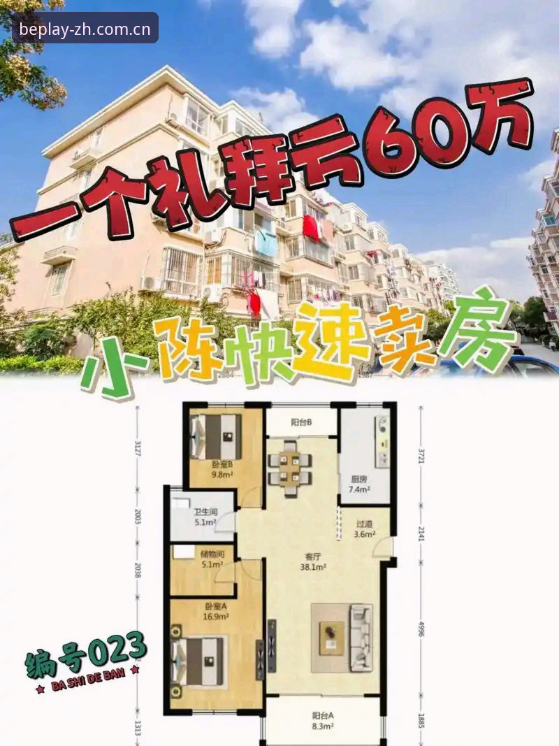 坐标中文主场的数字门牌APP下载全教程，从安装到实战的现场手册